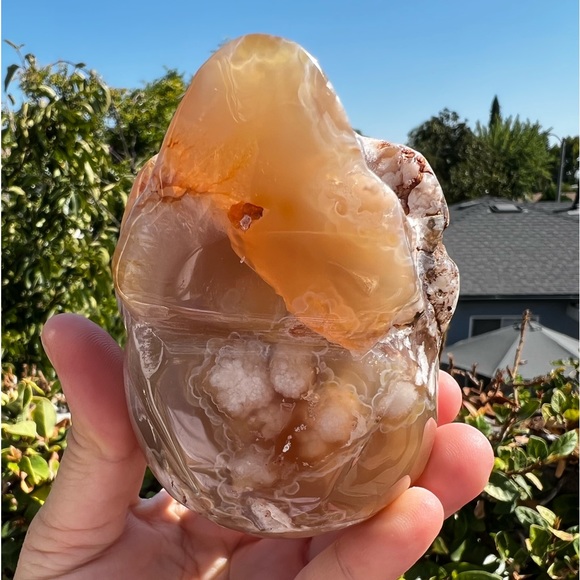 Flower Agate Skull - Sakura Agate - Picture 7 of 11